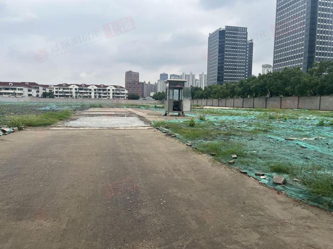 楼处 招商中旅·揽阅发布：炫耀上海!！不朽情缘正版【开售】招商中旅·揽阅售(图24)