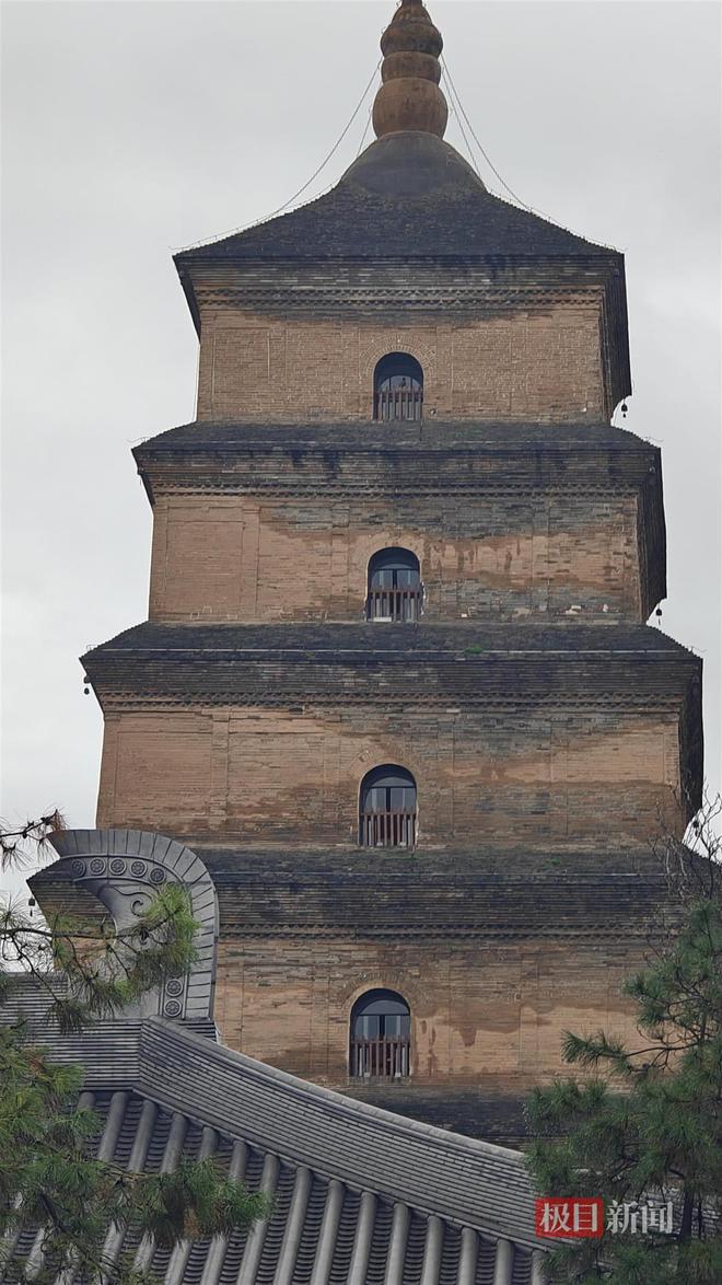 蘑菇大雁塔受潮城墙布满青苔气象局解释成因不朽情缘MG西安连续一个多月降雨遍地长(图4)